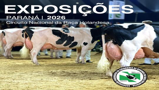 Calendário de exposições 2026